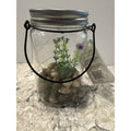 Hanging Succulent Jar LED Patio Lantern - 3” W x 6” H x 4” L - Frijja, LLC