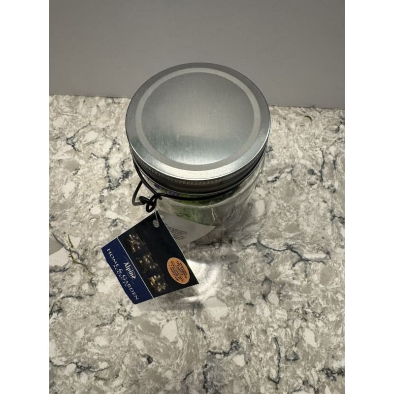 Hanging Succulent Jar LED Patio Lantern - 3” W x 6” H x 4” L - Frijja, LLC